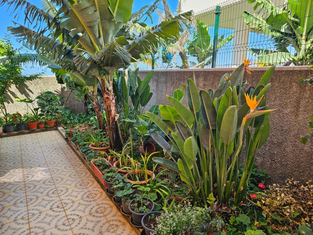 Casa De Feria Do Livramento Villa Фуншал Екстериор снимка