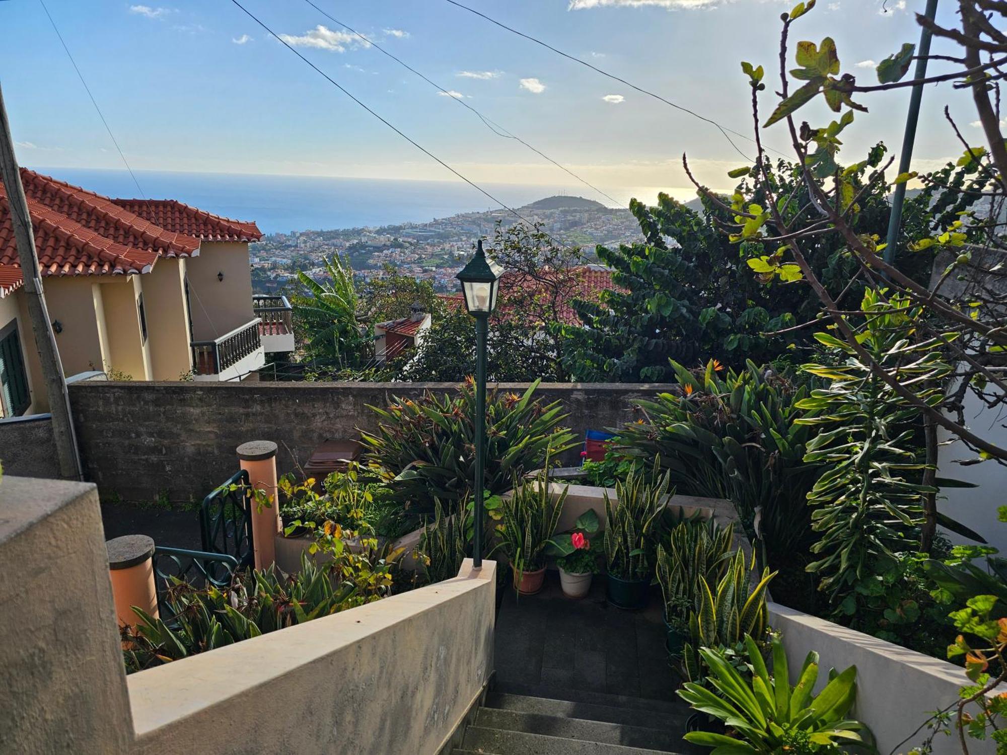 Casa De Feria Do Livramento Villa Фуншал Екстериор снимка